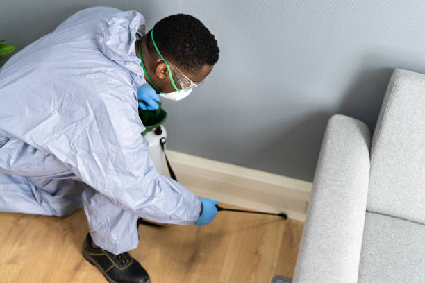 Best Pest Prevention Services  in Concord, MI